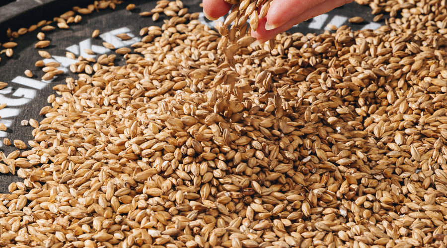 What is the difference between single malt and blended whisky?