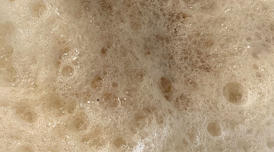 The Ingredient That Makes Whisky Possible