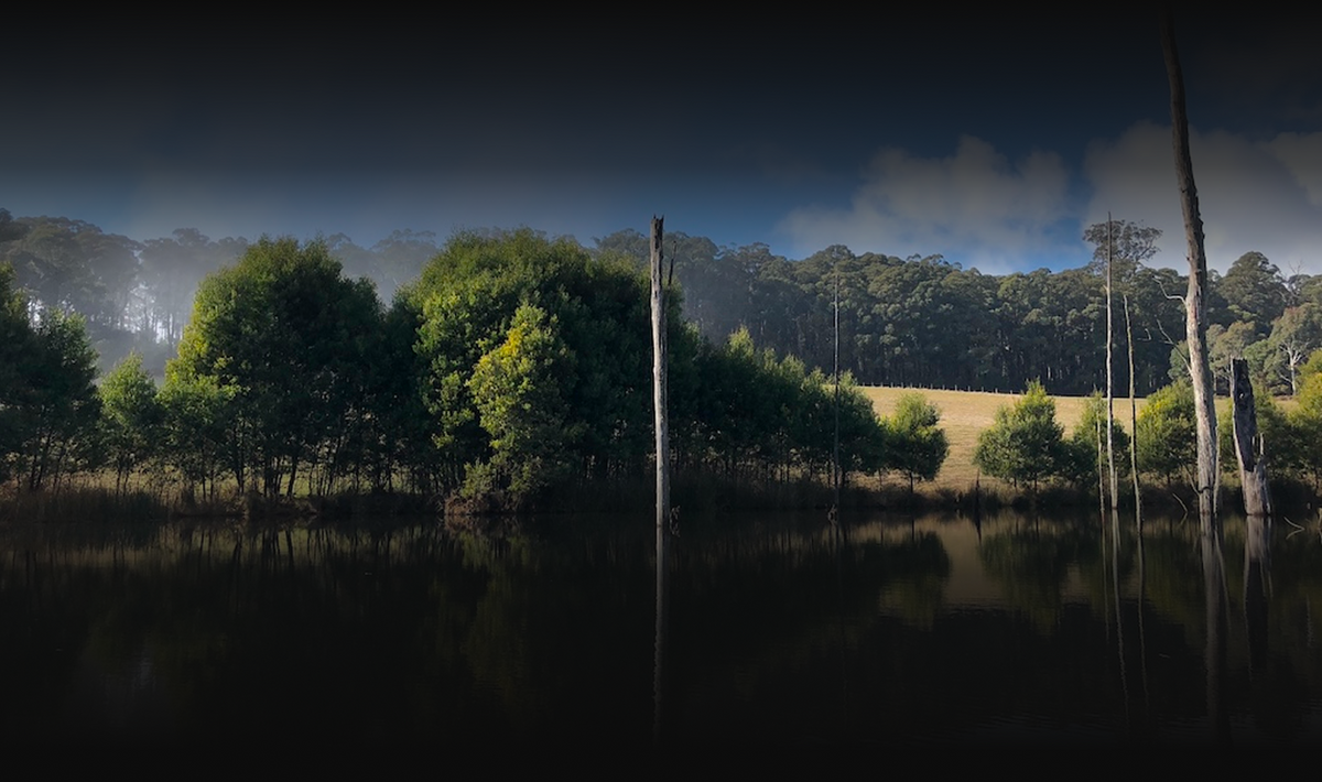 The Kinglake  Character