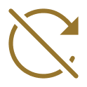 No Replication Icon